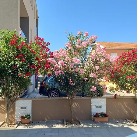 Appartement 1 Bedroom Cozy In Vir
