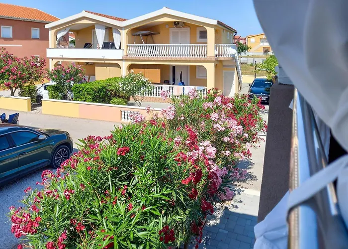 Amazing In With Wifi 비르